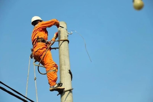 Tập đoàn Điện lực Việt Nam kiểm điểm nhiều lãnh đạo trên diện rộng