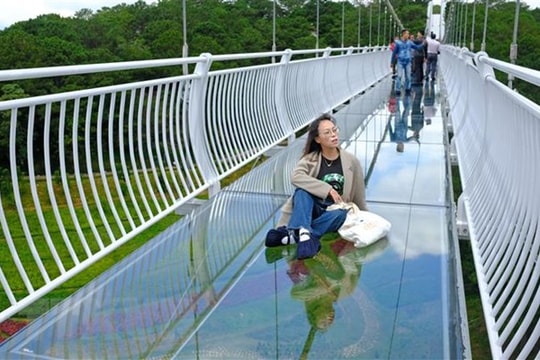 Cầu kính Ngàn Thông ở Đà Lạt mở cửa đón khách