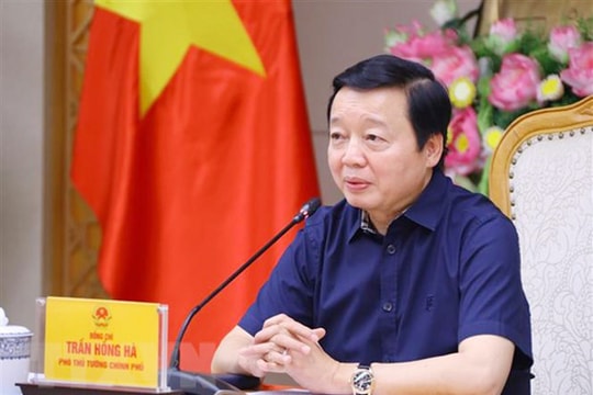 Sớm lập Sàn Giao dịch Bất động sản quốc gia, Sàn Giao dịch Việc làm quốc gia