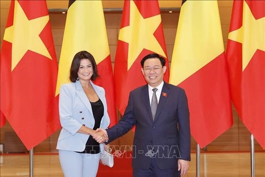 Chủ tịch Quốc hội Vương Đình Huệ hội đàm với Chủ tịch Thượng viện Bỉ Stéphanie D'Hose