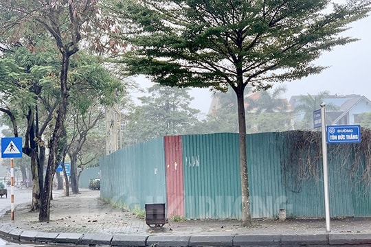 Đấu giá lựa chọn nhà đầu tư thực hiện Dự án khu khách sạn và nhà chung cư hỗn hợp