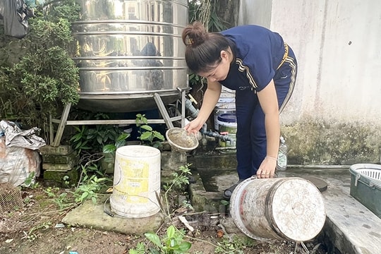 Hải Dương có 6 ổ dịch sốt xuất huyết đang hoạt động