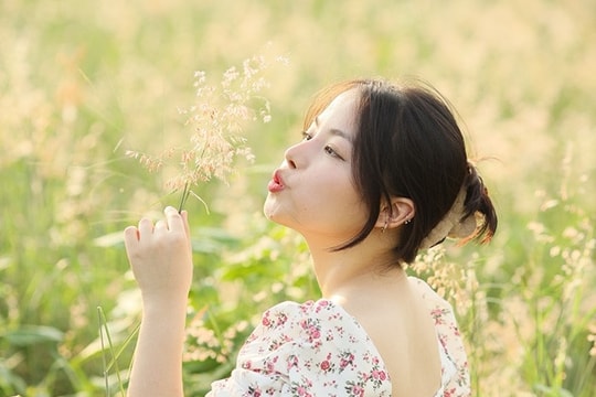[Photos] Chi Linh pink grass hill – dreamy destination for nature lovers