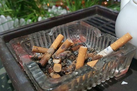 Thuốc lá là yếu tố hàng đầu làm tăng nguy cơ mắc bệnh tim mạch