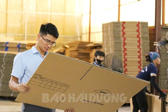 Khởi nghiệp từ sản xuất bao bì