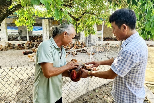Xã loay hoay tìm sản phẩm OCOP