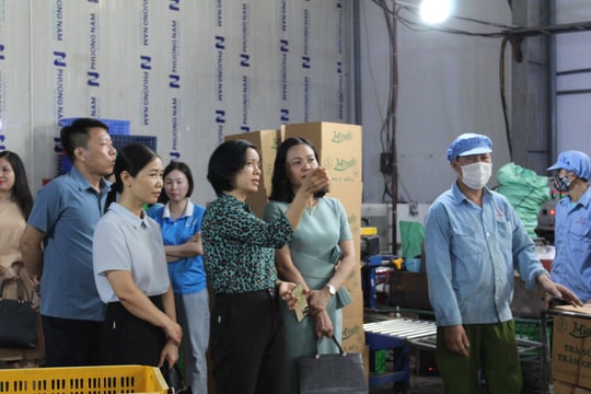 Sản lượng tiêu thụ tăng 20% khi tham gia chương trình OCOP