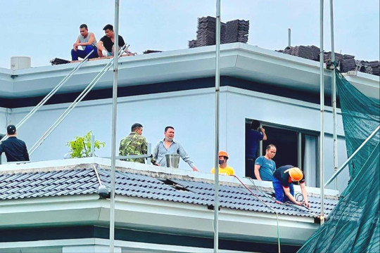 Gia Lộc tập trung xử lý vi phạm trên đất nông nghiệp