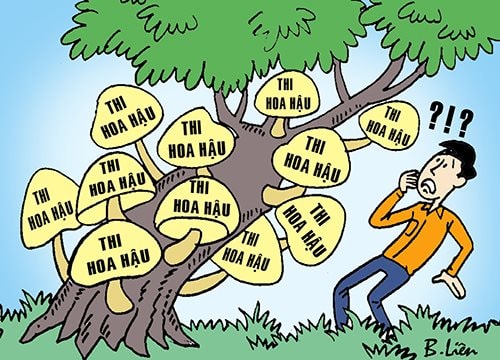 Thi hoa hậu mọc lên như nấm 
