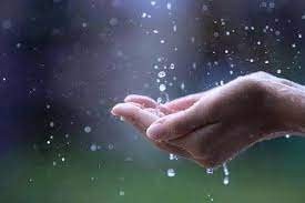 Những giọt mưa làm rối cả lòng