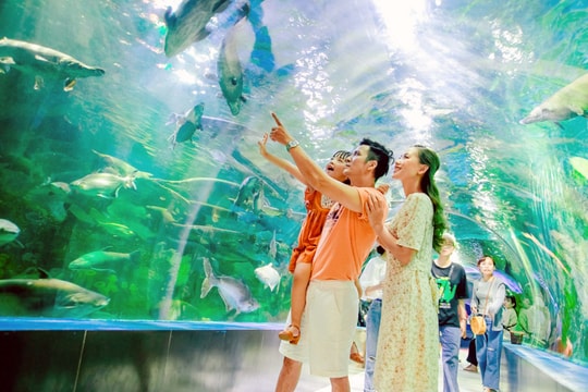 Công viên Thiên đường Bảo Sơn tổ chức Lễ hội Đảo sắc màu