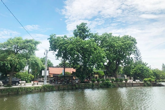 Hải Dương ngày nắng, đêm và sáng có mưa rải rác