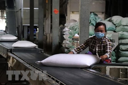 Chính phủ Ấn Độ áp đặt thêm các hạn chế đối với xuất khẩu gạo