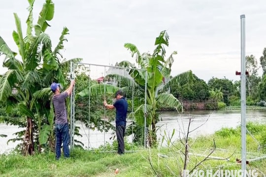 2 hộ ở Gia Lộc tự tháo dỡ công trình vi phạm hệ thống thủy lợi Bắc Hưng Hải