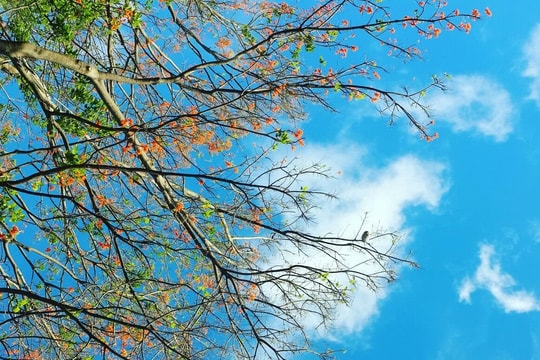 Có một mùa thu