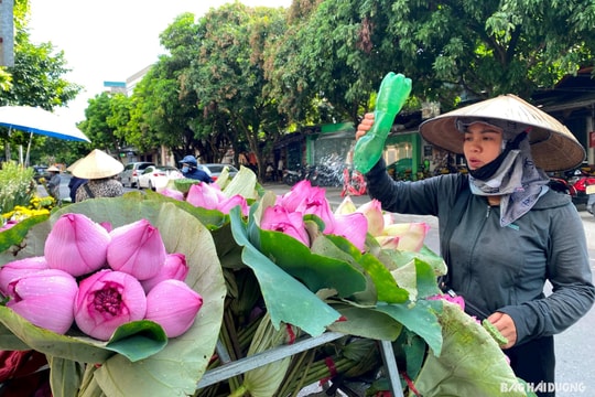 Dịu dàng những góc chợ hoa