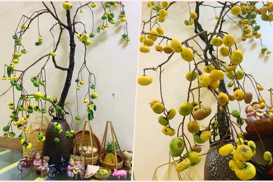 Chị em "sốt xình xịch", thú chơi cành thị cắm bình lên ngôi