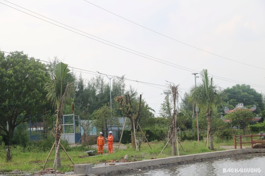 Điện lực TP Hải Dương đầu tư gần 8 tỷ đồng sửa chữa hệ thống lưới điện
