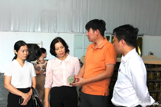 Bánh gai, giò chả Ninh Giang tăng gấp đôi sản lượng tiêu thụ nhờ Chương trình OCOP