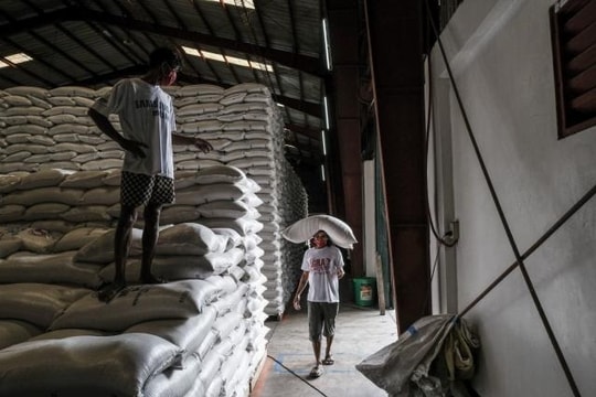 Philippines áp trần giá bán gạo trong nước 