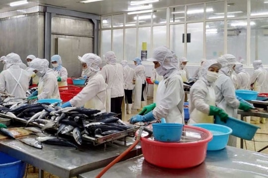 Qua 8 tháng, nông lâm, thủy sản xuất siêu 6,72 tỷ USD