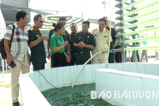 Hải Dương có thêm 39 Câu lạc bộ Doanh nhân cựu chiến binh, cựu quân nhân