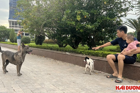 Thả rông chó mèo - coi thường sức khoẻ, tính mạng người dân