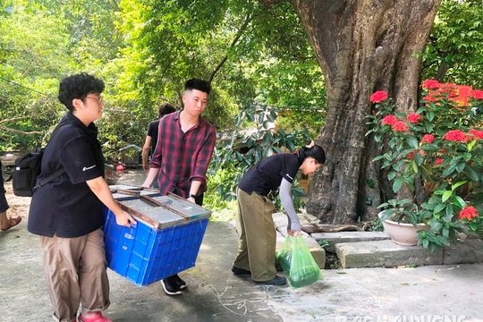 Bàn giao 11 chú khỉ quý hiếm tại chùa Nhẫm Dương về vườn quốc gia