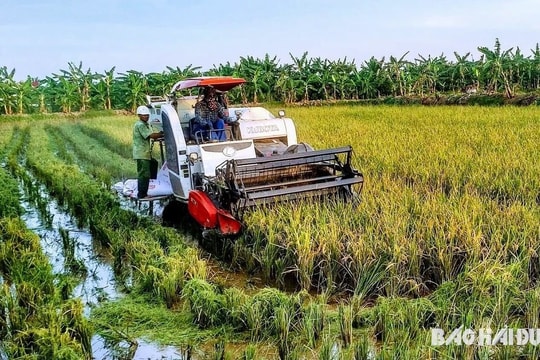 Hải Dương xây dựng 5 hợp tác xã kiểu mới