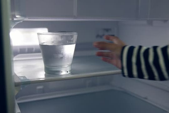 Tác dụng của đặt bát nước vào tủ lạnh