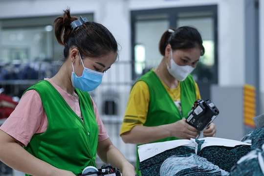 Đóng bảo hiểm xã hội 20 năm, về hưu lương rất thấp