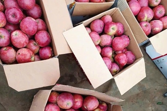 Trái cây "ngoại" la liệt, nhiều loại siêu rẻ chỉ 12.000-20.000 đồng/kg