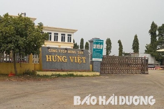 Tiếp tục hoãn phiên tòa xét xử vụ mâu thuẫn nội bộ tại Công ty Hưng Việt