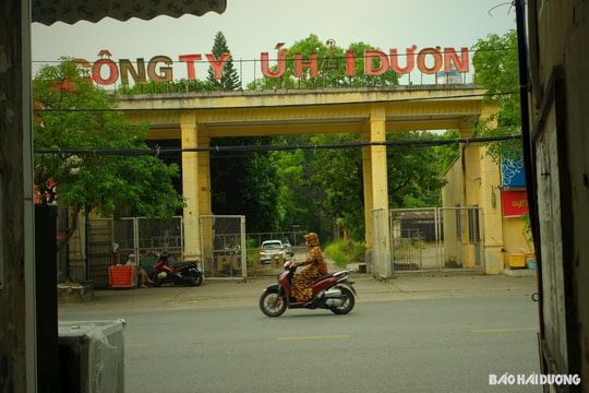 Bụi phủ thời vàng son Nhà máy Sứ Hải Dương