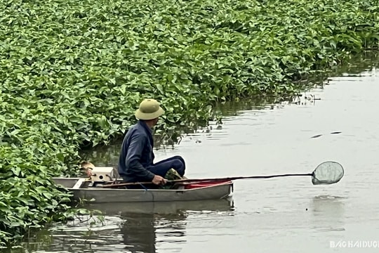 Ngang nhiên dùng bình kích điện đánh bắt cá