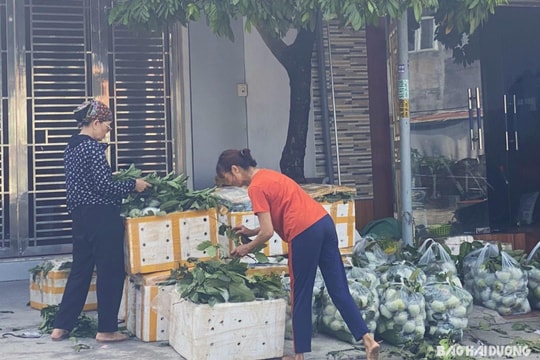 Giá ổi Thanh Hà tăng 8.000 đồng/kg