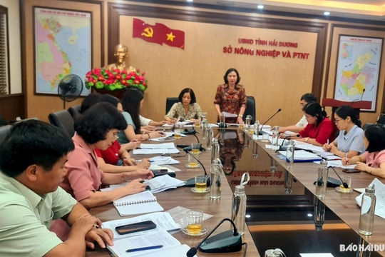 Cần lựa chọn sản phẩm OCOP chủ lực để đầu tư phát triển