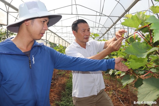Cooperatives adapt to green consumption trend