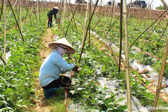 Gần 4.800 lượt hộ nghèo, hộ cận nghèo ở Gia Lộc được vay vốn chính sách