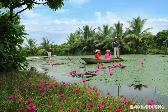 Sắc thu ở khu du lịch sinh thái Đồng Mẩn