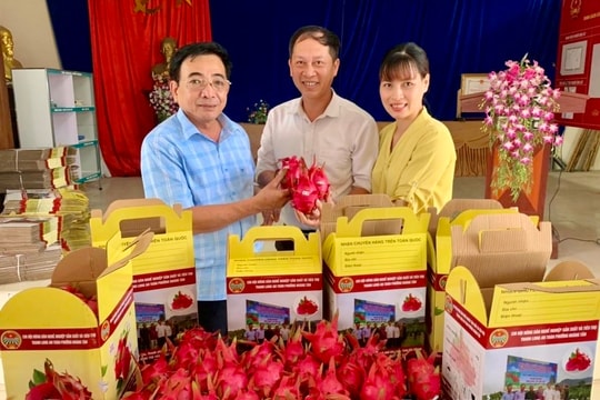 Thêm 1 nông sản ở Chí Linh được dán tem truy xuất nguồn gốc