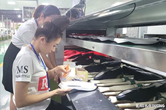 Làn sóng di cư mới. Bài 1: Từ miền ngược về xuôi