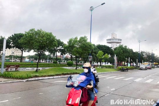 Hải Dương có mưa vừa, mưa to và dông