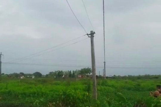 2 nam sinh ở Nam Sách bị điện giật khi bẫy chim