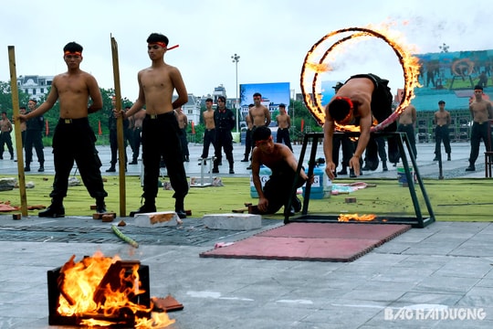 Cảnh sát cơ động can trường