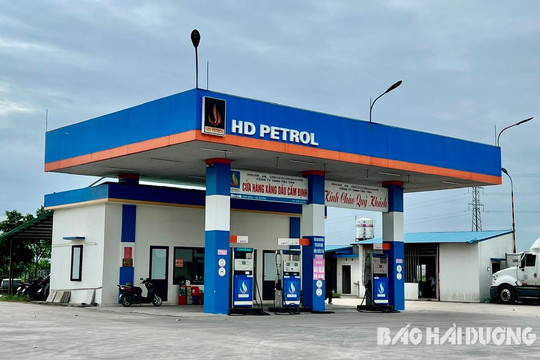 Vi phạm quy định về chất lượng, một cửa hàng xăng dầu ở Cẩm Giàng phải dừng bán dầu DO 