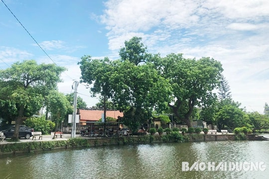 Hải Dương ngày nắng, ít mưa, đêm và sáng se lạnh