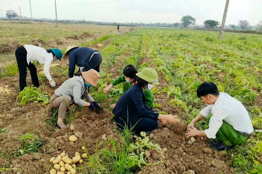 Over 6.5 billion VND for production and consumption linkages