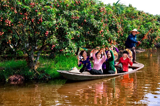 Hai Duong culture and tourism beauty through the lens