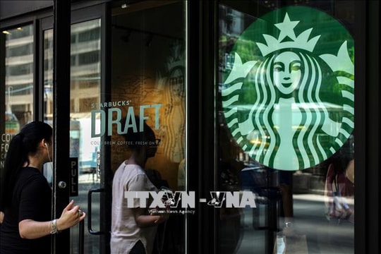 Starbucks bị kiện vì thức uống trái cây.... không có trái cây